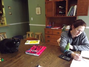 Don't be deceived... that cat will pounce.