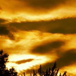 Taken & edited by my son