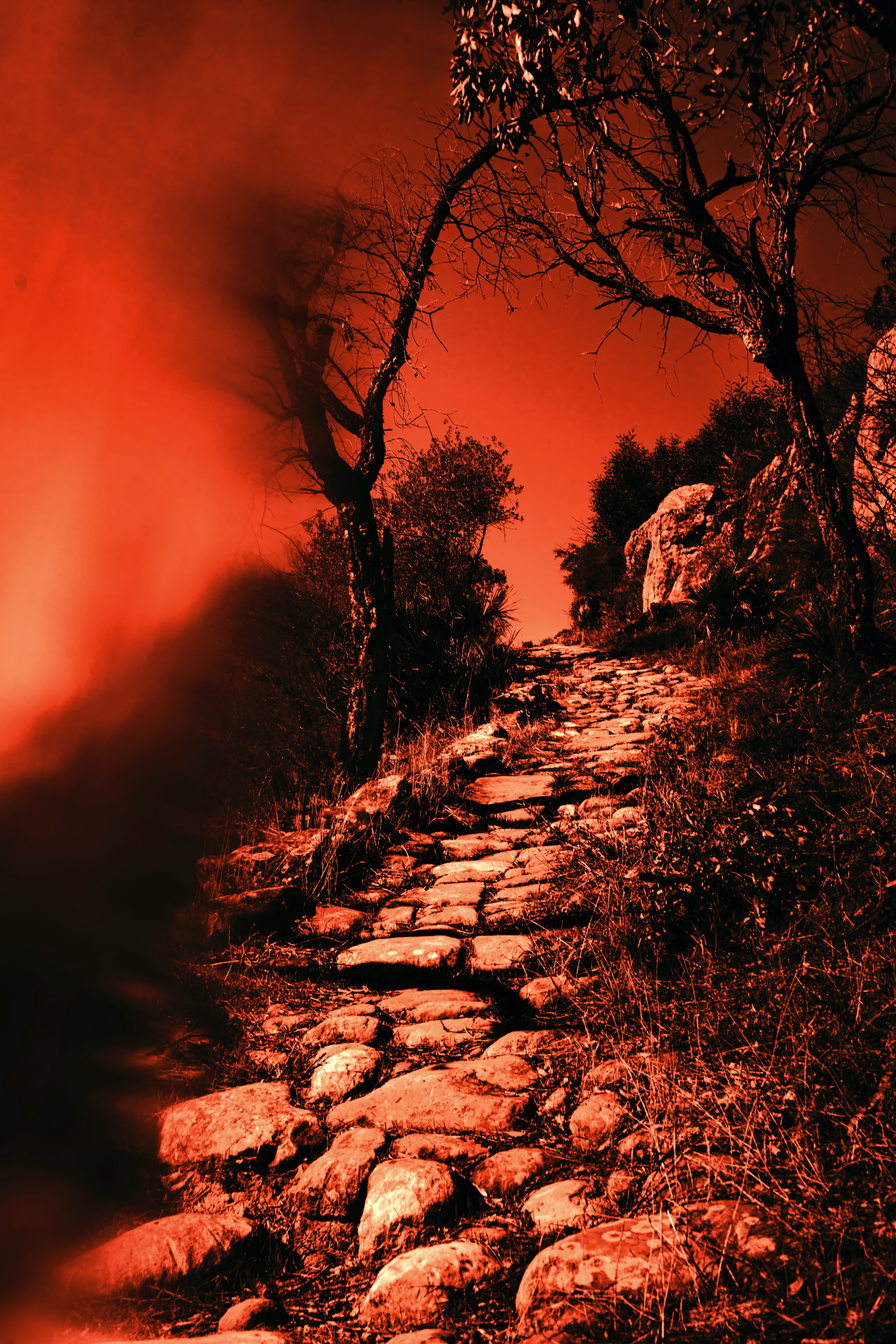 jr-korpa--AsMlld5e2I-unsplash